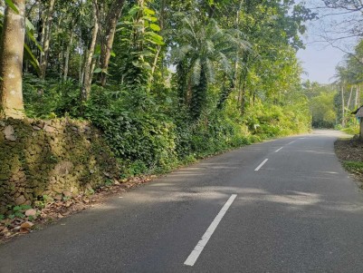 20 Cents of Residential Land for Sale at Kudakkachira, Kottayam