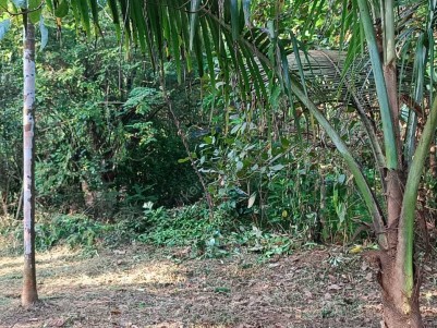 36 Cents of Residential Plot for Sale at Kadalassery, Thrissur