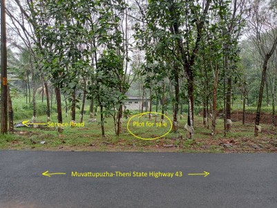Prime Residential Land for Sale at Kodikulam near Thodupuzha, Idukki
