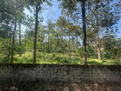 Land for Sale at Angamaly, Ernakulam