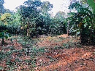 Land for Sale at Maneed, Piravom, Ernakulam