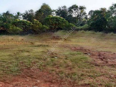 Prime Residential Land for Sale at Madathara, Kollam