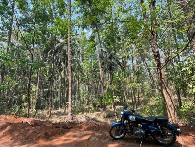 98 Cents of Residential Plot for Sale at Nellipara, Alakode, Kannur