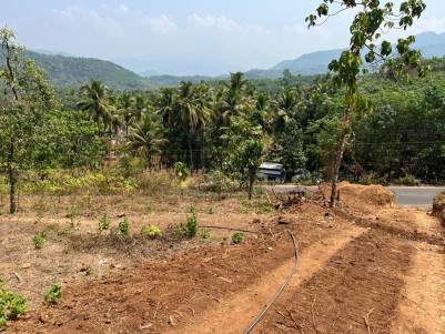 Residential Plots for Sale near Alakode, Kannur