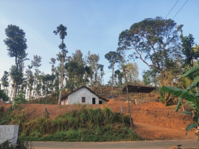 2.3 Acres  plantation land  near Ambalavayal with a shed and power connection for total 50 Lakhs