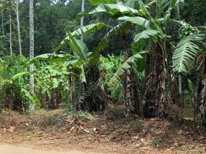 Prime Land for Sale at Karukachal, Kottayam
