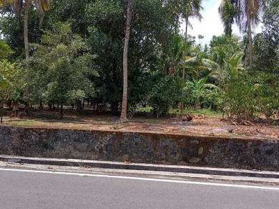  Land for Sale at Angamaly, Ernakulam
