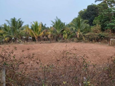 Land for Sale at Kuttanellur, Thrissur