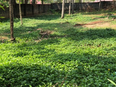 Land for Sale near Technopark, Kazhakootam, Trivandrum