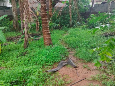  Land For Sale at Palazhi, Kozhikode