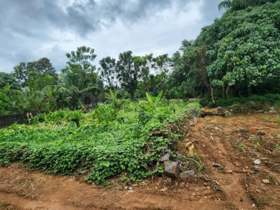 Land for Sale at Elanji, Ernakulam
