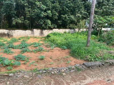 Land for Sale at Mattakuzhy, Near Puthencruz, Ernakulam