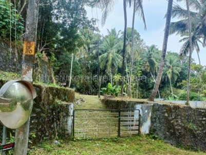  Prime Residential Land for Sale in the Heart of Malappuram Municipality
