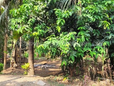 Land for Sale at Annamanada, Near Chalakkudy, Thrissur