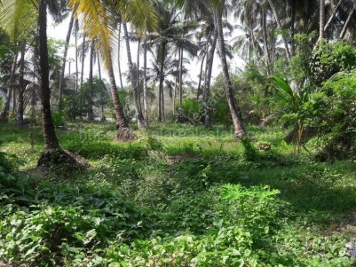  Land for Sale at Elathur, Calicut