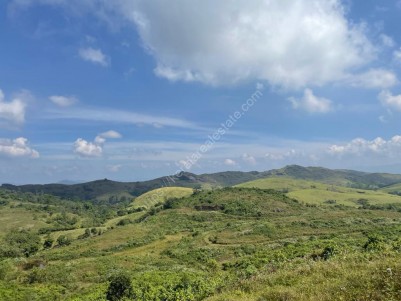 Beautiful Land for Sale in Vagamon Adventure Park, Kottayam