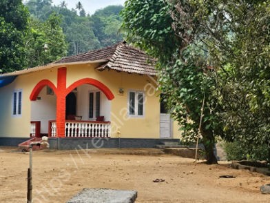 Land with House for Sale at Adimaly, Idukki