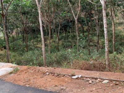 Land for Sale at Ezhakkaranad, Vettithara, Ernakulam