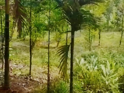 Land for Sale at Airapuram, Near Rubber Park, Perumbavoor, Ernakulam