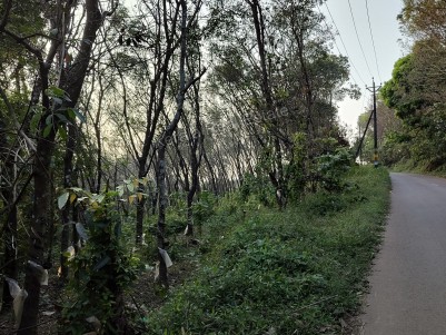 Rubber Plantation for Sale at Cheeratta Mala, Malappuram
