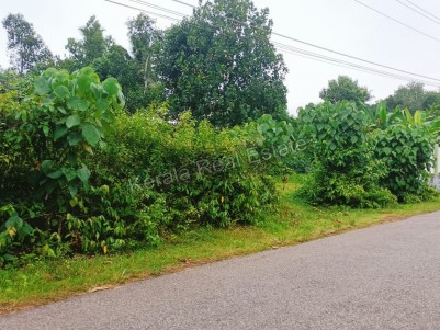 Land for Sale at Thamarakulam, Near Mavelikkara, Alappuzha
