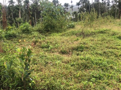Land for Sale at Muttil South, Wayanad