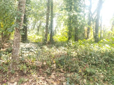 Land for Sale at Alanallur, Palakkad