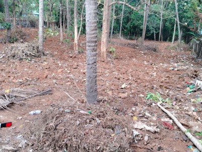 Land for Sale at Velamanoor, Kollam