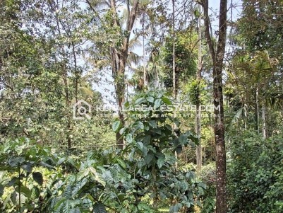 Land for Sale at Krishnagiri, Wayanad